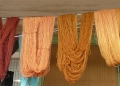 featured image thumbnail for post Dyeing Natural Fibers with Lobster Mushrooms