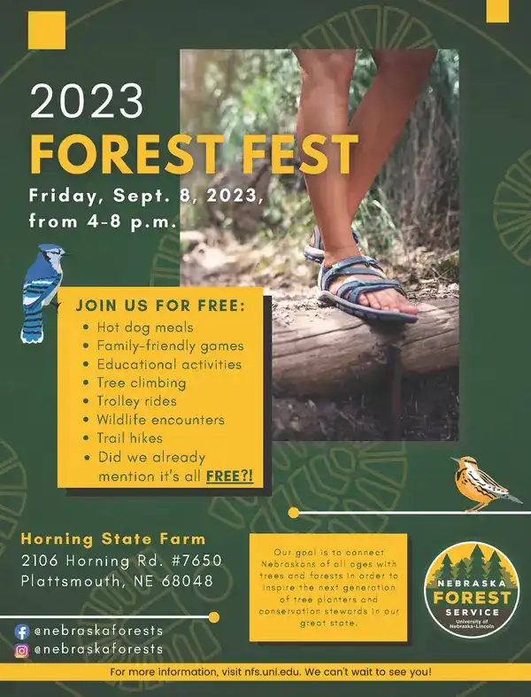 Forest Festival Family Fun Night 