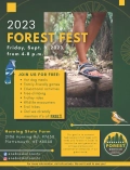 featured image thumbnail for post Forest Festival Family Fun Night 