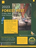featured image thumbnail for post Forest Festival Family Fun Night